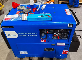 Инверторный дизельный сварочный генератор в кожухе TSS DGW 7.0/250EDS-R уценка